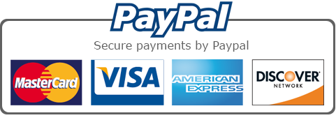 secure payments by paypal - visa - mastercard - american express - discover - Drawing on History Art Curriculum